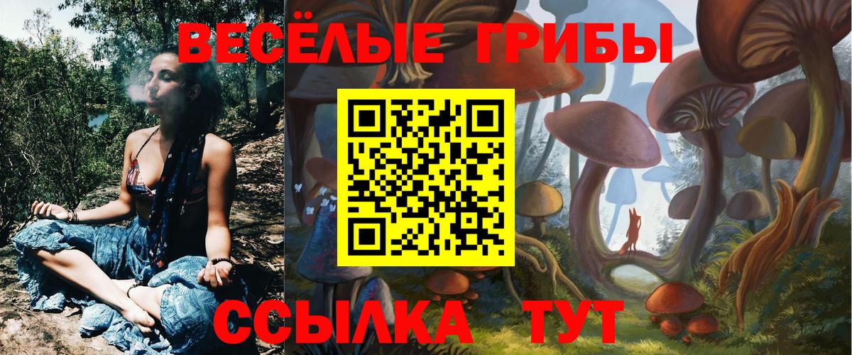 Реж  Псилоцибиновые грибы Cubensis  Вход с VPN  Псилоцибиновые грибы Cubensis 