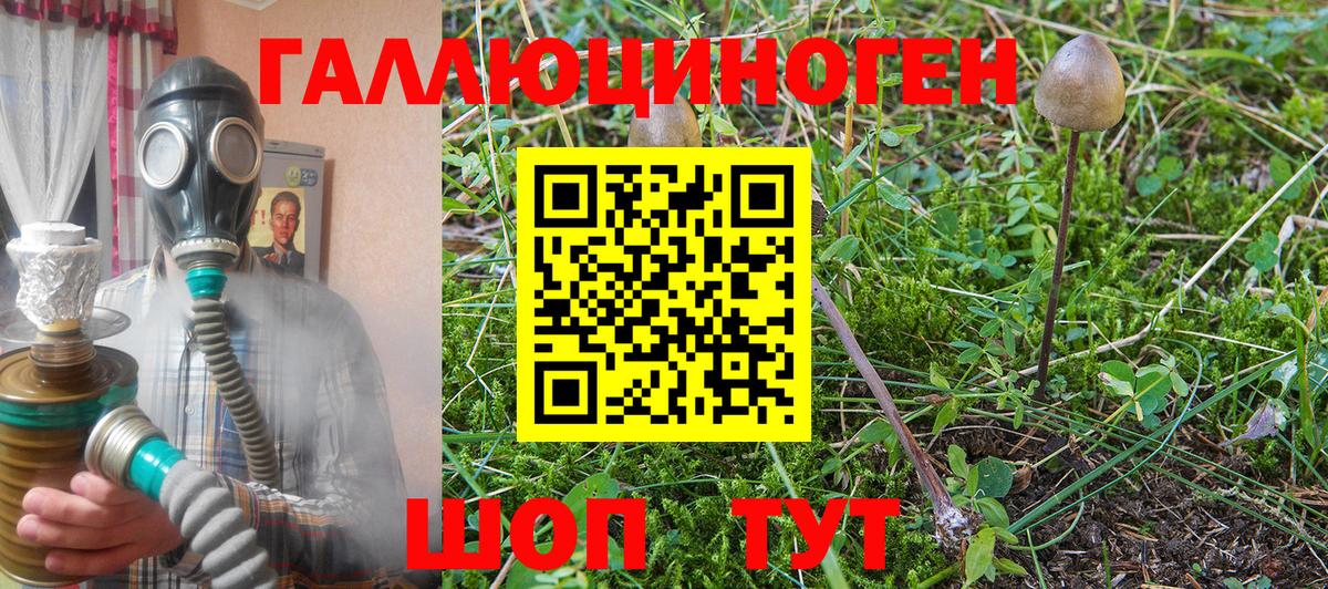 Галлюциногенные грибы мицелий Реж